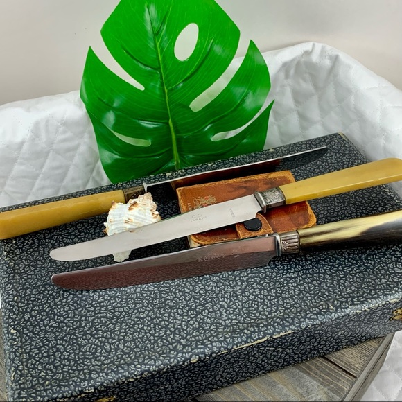 VINTAGE BUTTERKNIFE SET W/CASE BONE LIKE HANDLES - Picture 6 of 11